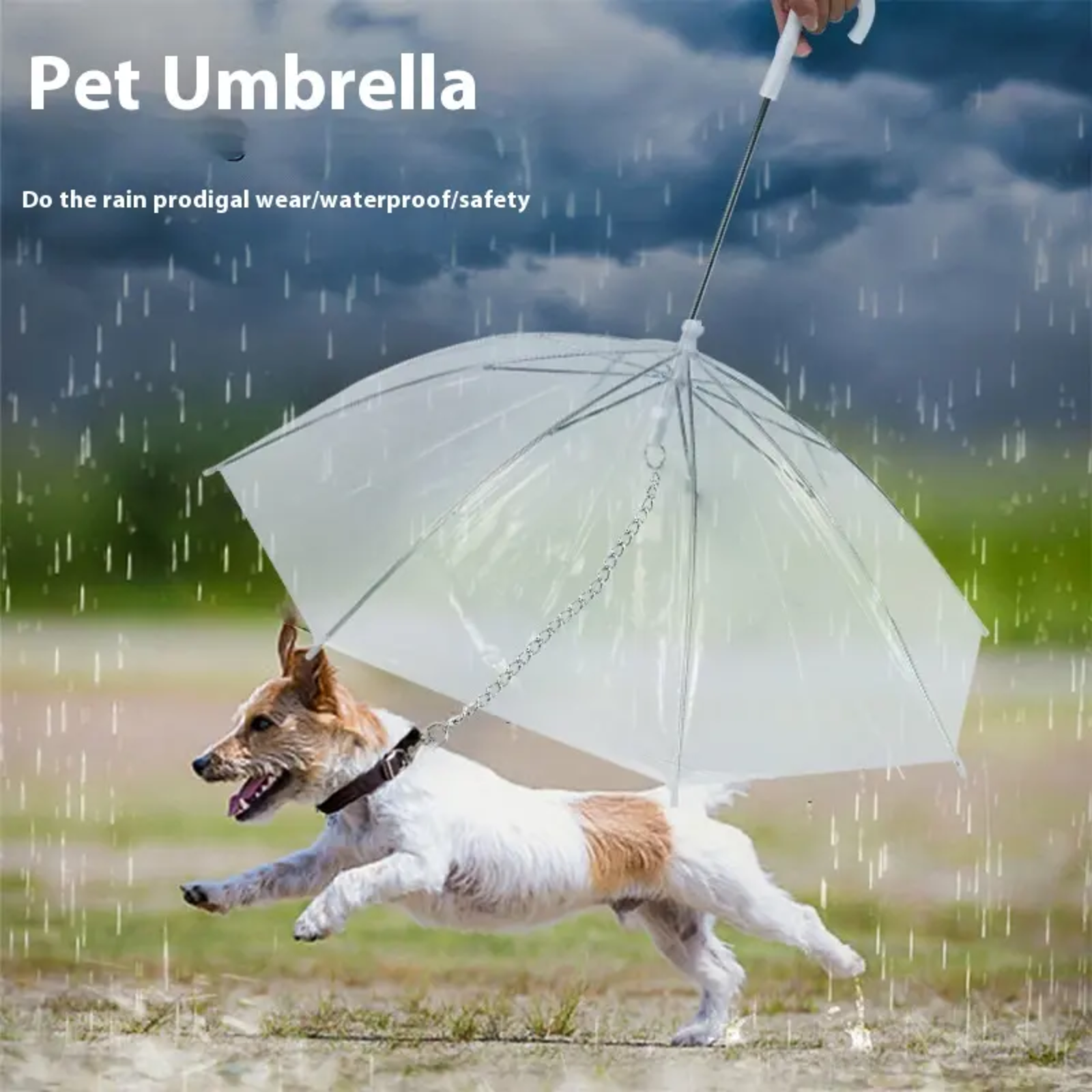 ICONIC PET UMBRELLA