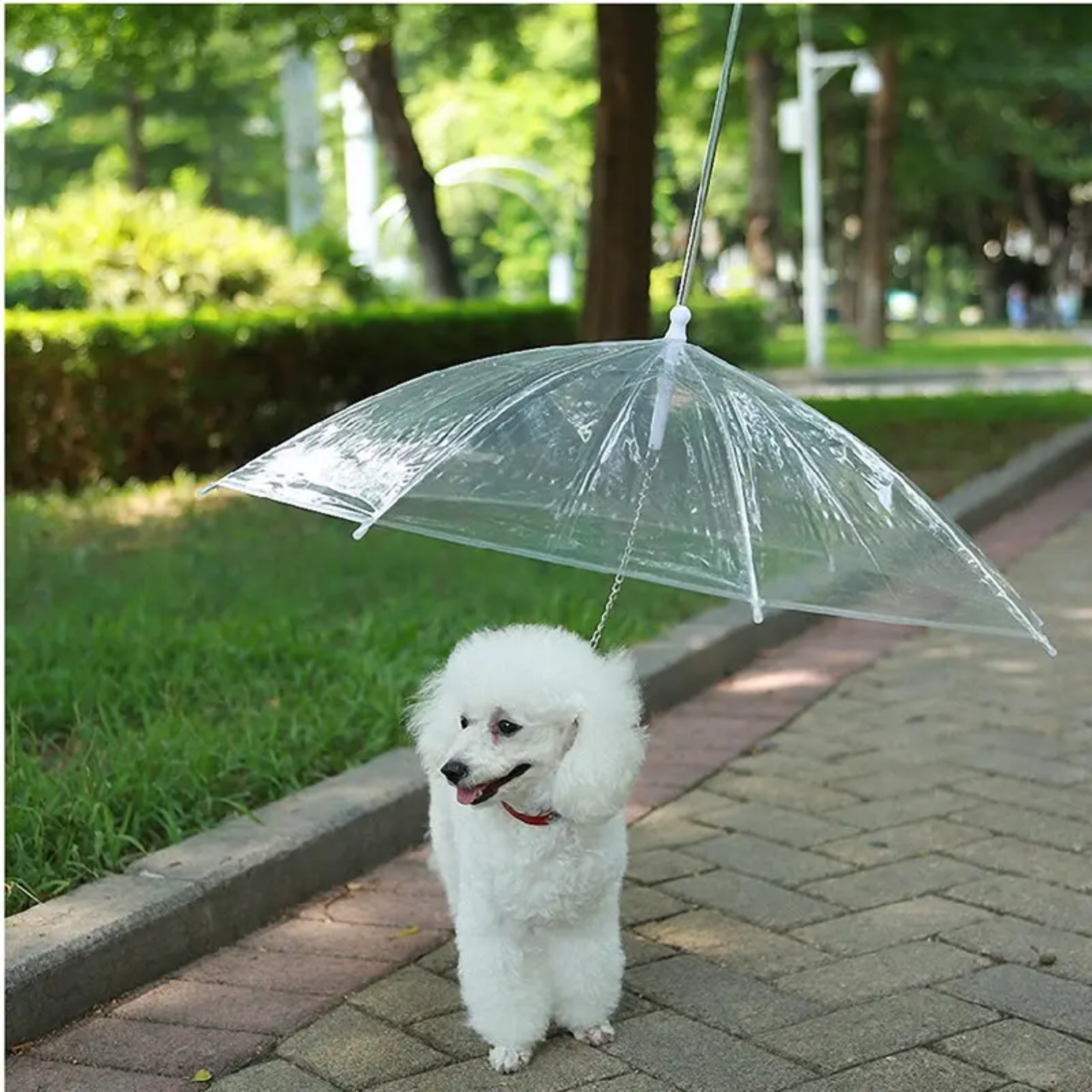 ICONIC PET UMBRELLA